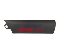 FAST FT10392 Modanatura decorativa / protettiva, Cristallo portiera