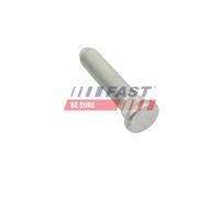 FAST FT10437 Bullone ruota per FORD