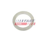 FAST FT10602 Anello tenuta, Fuso a snodo per IVECO