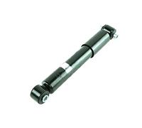FAST FT11013 2x Ammortizzatore Anteriore Sx Anteriore Dx A pressione del gas Ammortizzatori