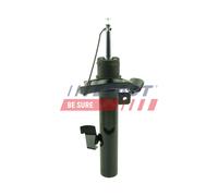 FAST FT11016 Ammortizzatore per FORD