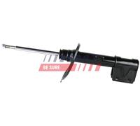 FAST FT11038 Ammortizzatore per CITROËN,PEUGEOT