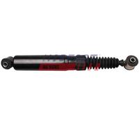 2x FAST FT11174 Ammortizzatore Posteriore Dx, Posteriore Sx A pressione del gas