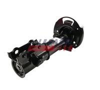 FAST FT11176 Ammortizzatore