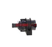 FAST FT11813 Pompa acqua ausiliaria