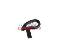 FAST FT11876 Maniglia regolazione sedile