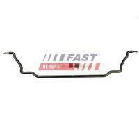 FAST Stabilizzatore, Autotelaio FT15958 Compatibile con: CITROËN JUMPER II Bus, JUMPER II Kasten, JUMPER II Pritsche/Fahrgestell, FIAT DUCATO Bus, DUCATO Kasten, DUCATO Pritsche/Fahrgestell
