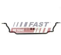 FAST FT15958 Stabilizzatore, Autotelaio per CITROËN,FIAT,PEUGEOT