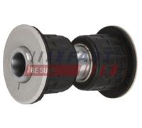 FAST FT18316 Bronzina cuscinetto, Molla a balestra per IVECO