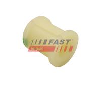FAST FT18481 Bronzina cuscinetto, Barra stabilizzatrice per IVECO
