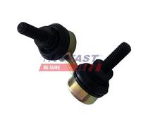FAST FT20331 Asta/Puntone, Stabilizzatore per IVECO