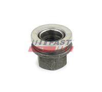 FAST FT21526 Dado ruota per FORD