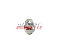 FAST FT21601 Dado ruota per FORD,TESLA
