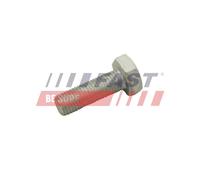 FAST FT30601 Bullone, Disco freno per FIAT,IVECO