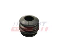 FAST FT32263 Guaina parapolvere, Guida pinza freno per IVECO