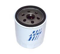 FAST FT38032 Filtro olio