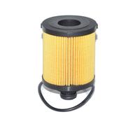 FAST Filtro olio FT38068 – Cartuccia per FIAT, OPEL, LANCIA, SUZUKI, ALFA ROMEO