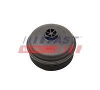FAST FT38204 Carter, Filtro olio per RENAULT
