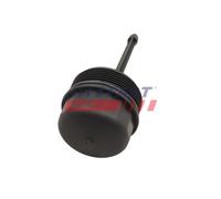 FAST FT38206 Carter, Filtro olio per AUDI,SEAT,SKODA,VW