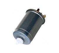 FAST FT39079 - Filtro carburante per Focus (DFW), Focus (DNW), Tourneo Connect, Transit Connect, Focus (DAW, DBW)