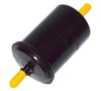 FAST FT39095 Filtro carburante