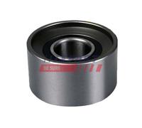 FAST FT44003 Rullo tenditore, Cinghia dentata per CITROËN,FIAT,IVECO,OPEL,PEUGEO