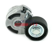 FAST FT44610 Rullo tenditore, Cinghia Poly-V per CITROËN,FORD,MAZDA,PEUGEOT,SUZU