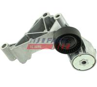 FAST FT44622 Rullo tenditore, Cinghia Poly-V per FORD,SAAB