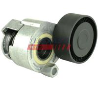 FAST FT44629 Rullo tenditore, Cinghia Poly-V per DACIA,LADA,NISSAN,RENAULT
