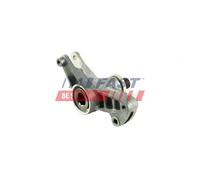 FAST FT44647 Rullo tenditore, Cinghia Poly-V per DAEWOO,MERCEDES-BENZ,PUCH,SSANG