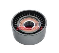 FAST FT44677 Rullo tenditore, Cinghia Poly-V per FORD