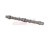 FAST FT45002 Albero a camme
