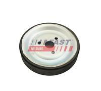 FAST FT45568 Puleggia, Pompa acqua per BMW,CITROËN,DS,MINI,OPEL,PEUGEOT
