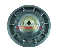 FAST FT45591 Puleggia cinghia, Albero a gomiti per NISSAN,OPEL,RENAULT,VAUXHALL