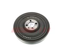 FAST FT45669 Puleggia cinghia, Albero a gomiti per IVECO