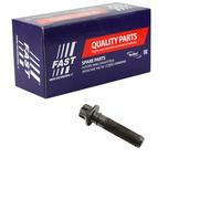 Originale FAST Bullone Puleggia FT45901 per Alfa Romeo Fiat Lancia Opel