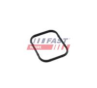 FAST FT49421 Guarnizione, Collettore aspirazione per CITROËN,FIAT,FORD,MAZDA,MIN