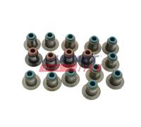 FAST FT49604 Anello tenuta, Stelo valvola per CITROËN,FIAT,IVECO,KARSAN,PEUGEOT,