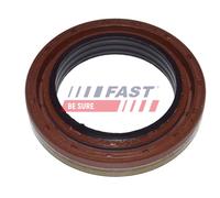 FAST FT49785 Anello tenuta, Differenziale per IVECO