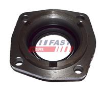 FAST FT49838 Anello tenuta, Differenziale per FIAT