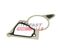 FAST FT50703 Guarnizione, Pompa depressione per CITROËN,FORD,PEUGEOT