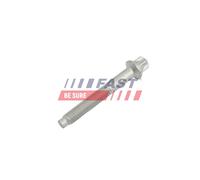 FAST FT51603 Bullone, Supporto iniettore per CITROËN,DS,FIAT,FORD,MAZDA,OPEL,PEU