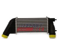 FAST FT55515 Intercooler per CITROËN,FIAT,LANCIA,PEUGEOT,TOYOTA