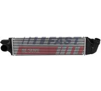 FAST FT55531 Intercooler per FIAT,NISSAN,OPEL,RENAULT,VAUXHALL
