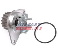 Pompa acqua FT57159 FAST per PEUGEOT CITROËN FORD FIAT