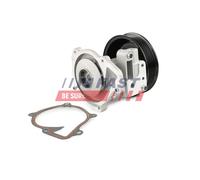 Pompa acqua FT57186 FAST per FORD LAND ROVER