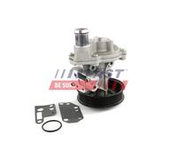 Pompa acqua meccanico FT57187 FAST per LAND ROVER PEUGEOT FORD CITROËN FIAT BMW
