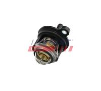 FAST FT58030 Termostato, refrigerante per FORD