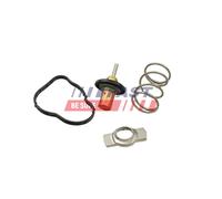 FAST FT58042 Termostato, refrigerante per RENAULT