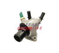 FAST FT58166 Termostato motore